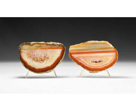A group of two cut and polished thick agate slices with bands of orange and brown colour, honeycomb crystals to the centre an
