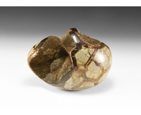 A large polished septarian egg with section cut to reveal internal cavity filled with clusters of small dark brown crystals. 