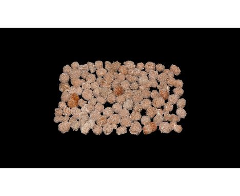 Group of one hundred 'Desert Rose' crystalline gypsum specimens with sand grain inclusions, mostly of single spheroid form, s