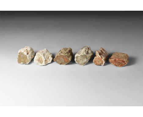 200-135 million years BP. A group of six branch sections of petrified wood, each in white card tray with label reading 'Petri