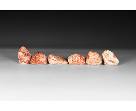 A group of six red and white brecciated jasper specimens; each in white card tray with label reading: 'Brecciated jasper'.  3