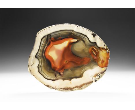 A fine large cut and polished agate slice with brown, red and blue bands.  1.18 kg, 29cm (11 1/2"). From a historic ‘Victoria