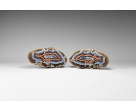 A pair of cut and polished agate nodules, each with blue, brown and orange bands.  1.28 kg total, 13.1cm (5 1/4"). From the h