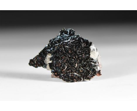 A fine specimen of specular hematite on a matrix, with additional quartz crystals; in white card tray with label reading: 'Sp