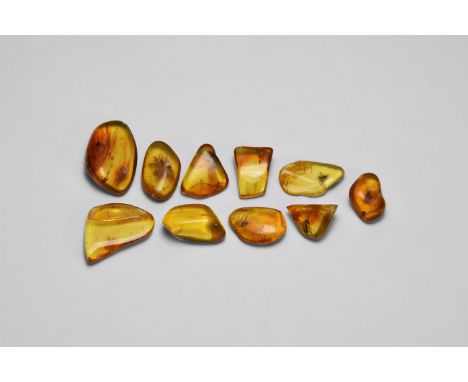 Oligocene Period, 45 million years BP. A group of ten pieces of Baltic amber each containing flies together with other inclus