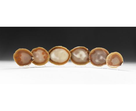 A group of six cut and polished brown and white agate slices, each with fabric to the underside.  674 grams total, 9.2-12.7cm