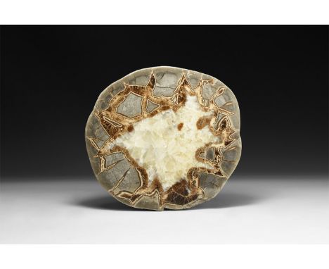 A large septarian nodule half, cut and polished displaying grey angular crystals in a honeycomb matrix of pale yellow crystal