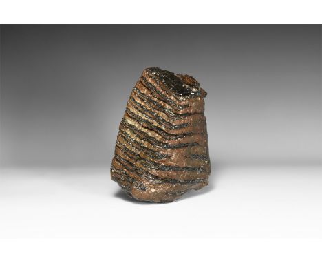Pleistocene Period, 2.6 million years-11,700 years BP. A Mammuthus primigenius tooth from Brown Bank, Lowestoft, Suffolk, Eng