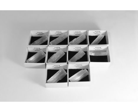 A group of ten Satin Spar Gypsum crystals in individual white card display boxes with label reading: GYPSUM var. 'satin spar'