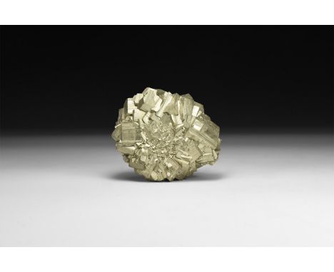 A pyrite (Fool's gold) concretion formed as a circular aggregate of crystals, in white card tray with label reading: 'Pyrite 