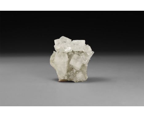 A fine display specimen of white apophyllite formed from several crystals, in white card tray with label reading: 'Apophyllit