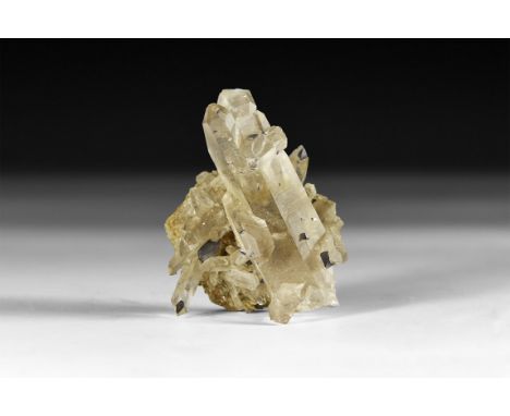 A fine specimen of anatase crystals developed on the outside of several joined quartz crystals, in white card tray.  31 grams