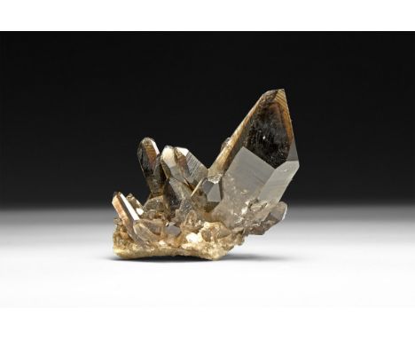 A cluster of smokey quartz crystals, in white card tray.  95 grams, 70mm (2 3/4"). From a historic ‘Victorian Museum’ collect