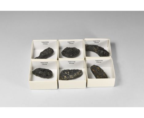 A group of six black tektites, each in white card tray with label reading: 'Tektite, China'.  111 grams total, 40-54mm (1 1/2