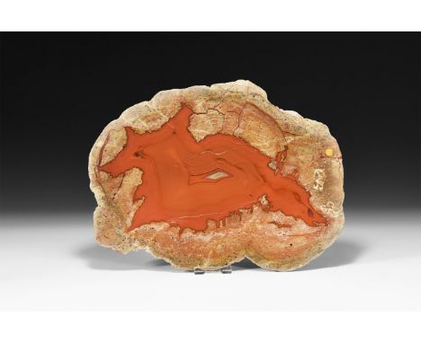 A cut and polished slice of a thunder egg with dark orange centre.  944 grams, 28.7cm (11 1/4"). From a historic ‘Victorian M