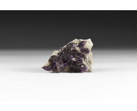 A fine specimen of deep purple fluorite cubes on a matrix, in white card tray with label reading: 'Fluorite, Tri-State (Mille