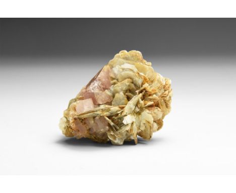 A fine specimen of pale pink apatite crystals on books of muscovite crystals, in white card tray with note: Apatite, Karimaba