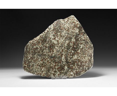 A large sheet of polished grey green African zoisite with hundreds of red ruby crystals across the surface.  1.49kg, 27cm (10
