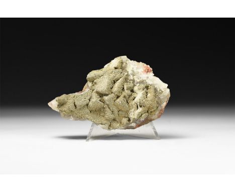 A fluorite mineral specimen in a collector's card tray with label 'Fluorite / Muscona mine, Solis, Asturias / Spain'.  195 gr