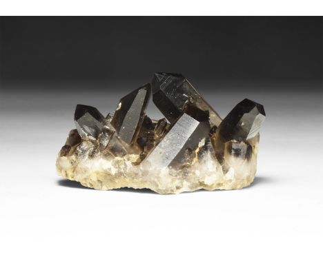 A fine formation of very dark smoky quartz crystals on a matrix, in white card tray.  137 grams, 80mm (3 1/4"). From a histor