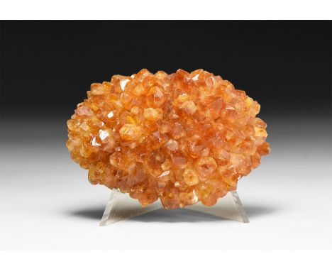 A fine formation of orange citrine crystals on a matrix, in white card tray with label reading: 'Citrine Porcupine, Rio Grand