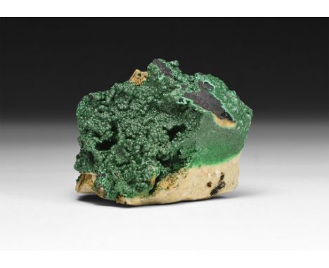 A fine specimen of deep green crystalline malachite on a matrix, in white card tray with label reading: 'Malachite (Crystalli