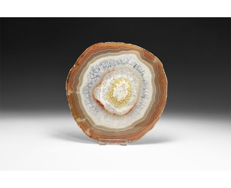 A fine cut and polished agate slice with variegated bands of brown and white, with formations of honeycomb crystals.  429 gra