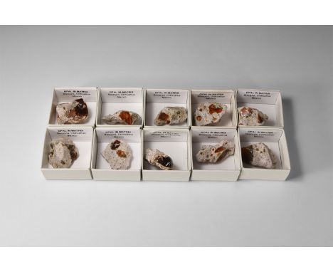A group of ten specimens of dark orange opal in a matrix, each in a white card tray with label reading: 'Opal in matrix, Boco