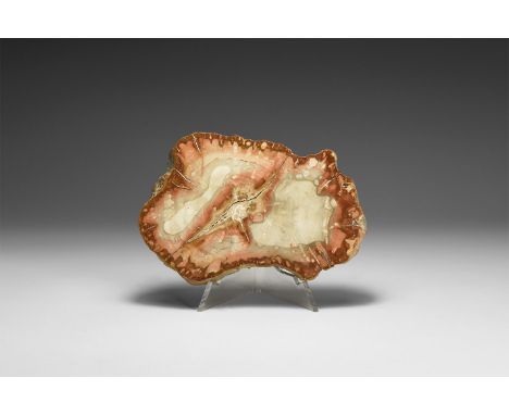 Triassic Period, 250-200 million years BP. A slice of polished fossilised wood from Madagascar.  192 grams, 11.5cm (4 1/2"). 