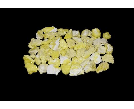 A group of fifty yellow specimens of sulphur displaying clusters of small crystals.  515 grams total, 35-45mm (1 1/4 - 1 3/4"