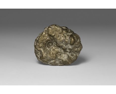 Early Jurassic Period, Lower Lias stage, 200-195 million years BP. A pyrite Crucilobiceros densinodulum ammonite from Pentacr