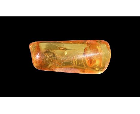 Oligocene Period, 45 million years BP. A clear piece of Baltic amber containing an insect and other inclusions.  2.01 grams, 