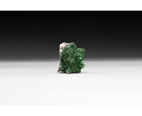 A deep green crystalline malachite specimen in white card tray with label reading: 'Crystalline malachite, D.R. Congo'.  75 g