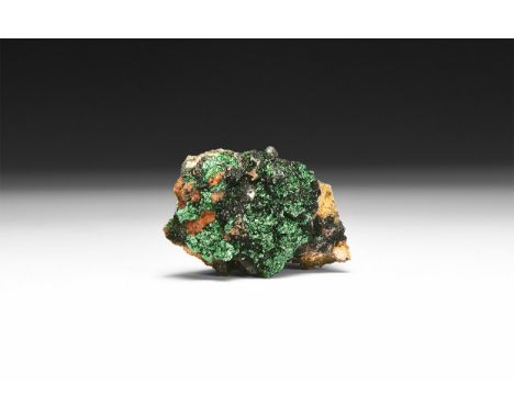 A deep green crystalline malachite specimen in white card tray with label reading: 'MALACHITE (Crystalline), D.R.Congo'.  91 