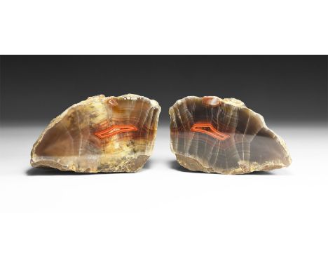 A finely cut and polished agate nodule pair with unusual bands of brown and bright orange.  988 grams total, 10.2cm (4"). Fro