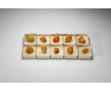 A group of ten yellow and orange realgar specimen, each in white card tray with label reading: 'Realgar orpiment, Getchel, Ne