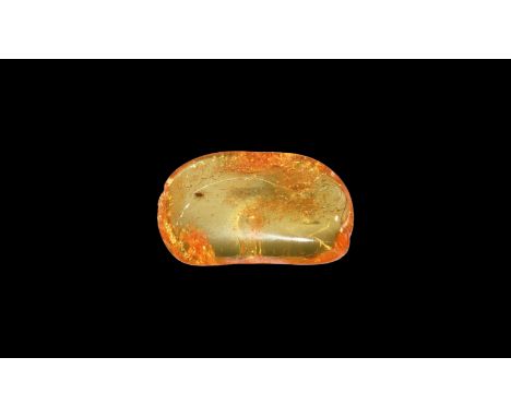 Oligocene Period, 45 million years BP. A clear piece of Baltic amber containing an insect and other inclusions.  1.86 grams, 
