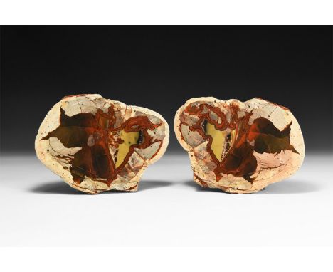 Two halves of a nodule of Australian 'Thunder Egg', cut and polished to reveal yellow, red and buff colours to the centre.  1
