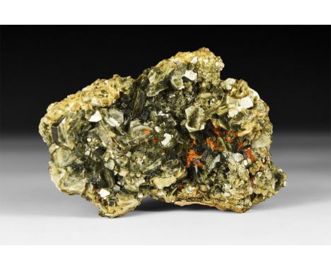 A specimen of muscovite mica in a collector's card tray.  118 grams, 94mm (3 3/4"). From a historic ‘Victorian Museum’ collec