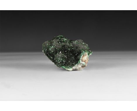 A deep green crystalline malachite specimen in white card tray.  174 grams, 69mm (2 3/4"). From a historic ‘Victorian Museum’