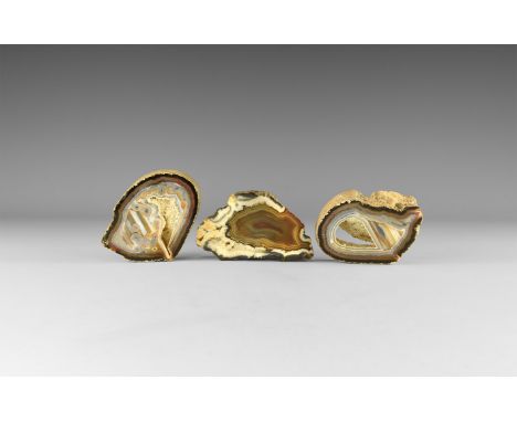 A group of three thick, cut and polished agate slices showing bands of colour, two with cavities displaying crystal growth. S