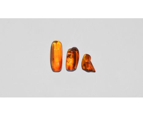 Oligocene Period, 45 million years BP. A group of three large honey coloured pieces of Baltic amber containing insects togeth