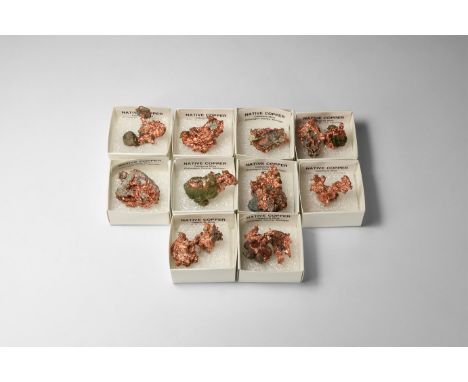A group of ten natural copper specimens, each in a white card tray with label reading 'Native Copper, Caledonia Mine, Ontonag