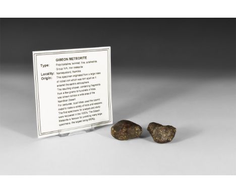 A pair of 'Gibeon' meteorite piece, with a paper card reading: 'Gibeon Meteorite. Type: polycrystaline, twinned, fine, octahe
