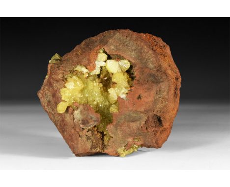 A group of yellow-green adamite crystals on red sandstone, in white card tray, from the old Richard Barstow collection, from 
