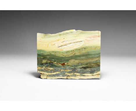 Eocene Period, 58-36 million years BP. A slice of polished jasperised conifer wood from Hampton Butte, Central Oregon, USA, w