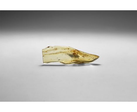 Circa 1 million years BP. A large piece of polished copal containing several insects and other inclusions, from Madagascar.  