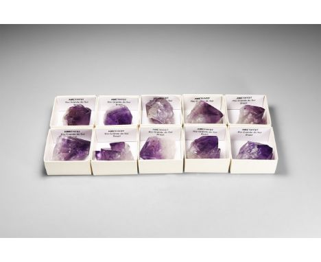 A group of ten fine amethyst crystals, each in a white card tray with label reading: 'Amethyst, Rio Grande do Sul, Brazil'.  