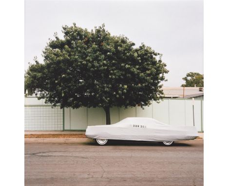 
	
		SINZIANA VELICESCU (AMERICAN B. 1989)
		XDR 201
		Photographic print in colours 
		58 x 58cm (22¾ x 22¾ in.)
		Together 
