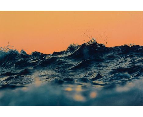 
	
		SYOIN KAJII (JAPANESE B. 1976)
		UNTITLED 
		Lambda archival photographic print 
		With artist's label and editioned 4/6